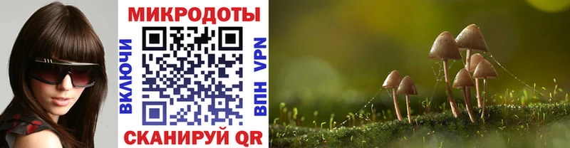 где найти наркотики  Кудрово  Псилоцибиновые грибы Psilocybe 